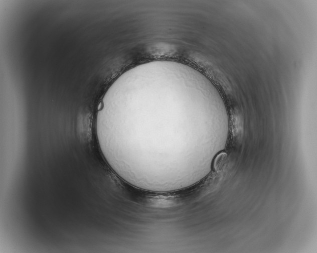 X0000101460664200807211334