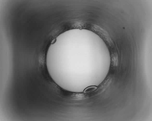 X0000101460665200807211334