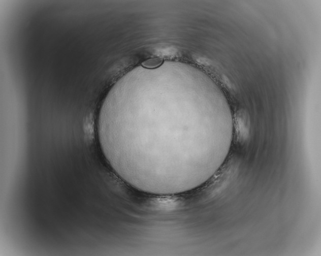 X0000101460668200807211334