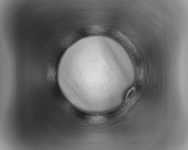 X0000101460669200807211334