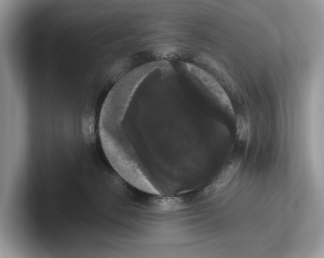 X0000101460670200807211334