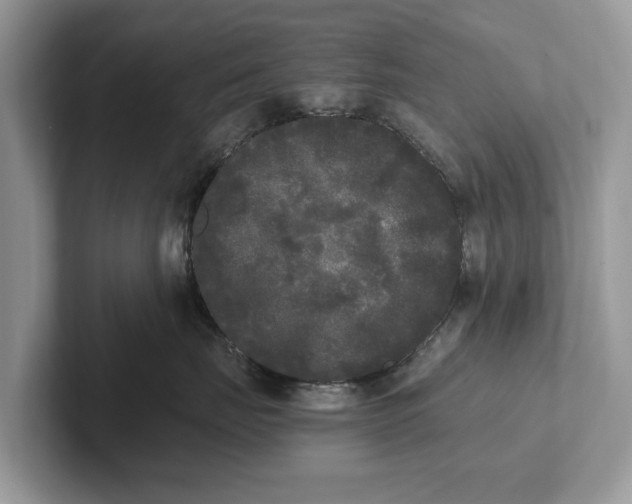 X0000101460671200807211334