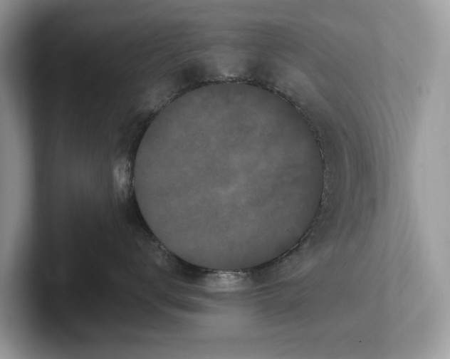 X0000101460672200807211334