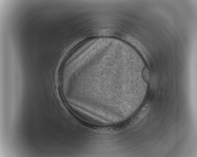 X0000101460673200807211334