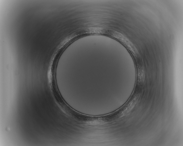 X0000101460674200807211334