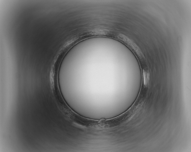 X0000101460675200807211334