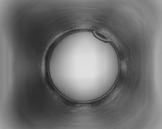 X0000101460676200807211334