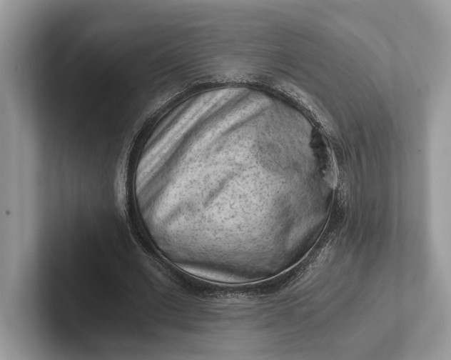 X0000101460677200807211334