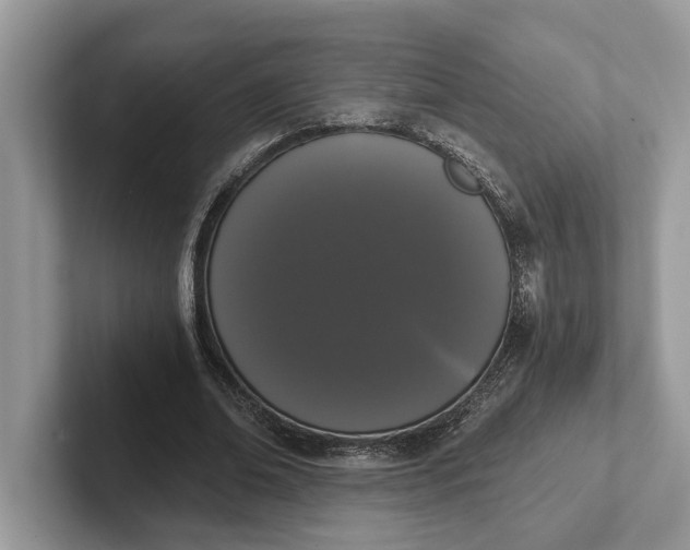 X0000101460678200807211334