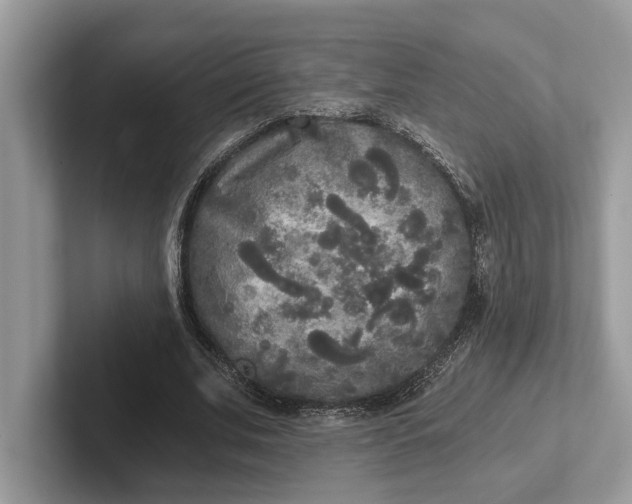 X0000101460679200807211334