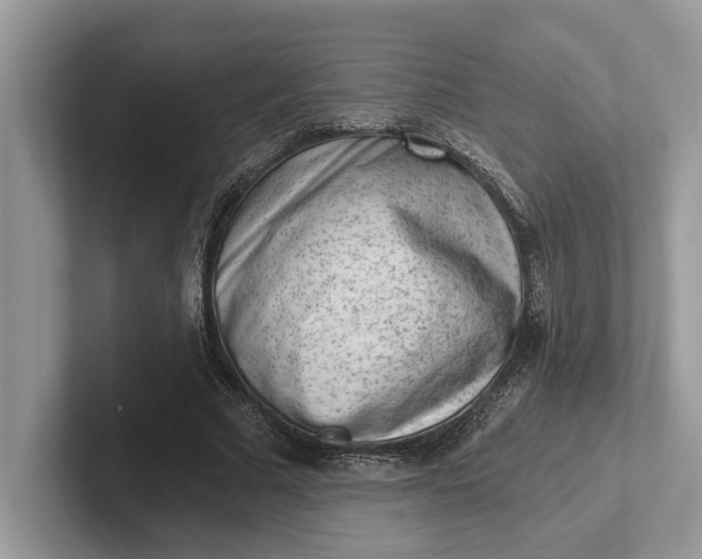 X0000101460681200807211334