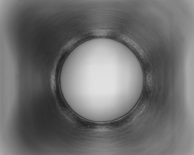 X0000101460682200807211334