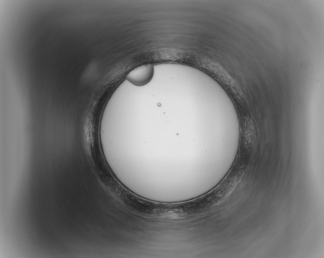 X0000101460683200807211334