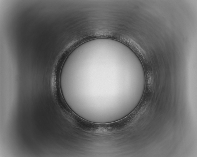 X0000101460684200807211334