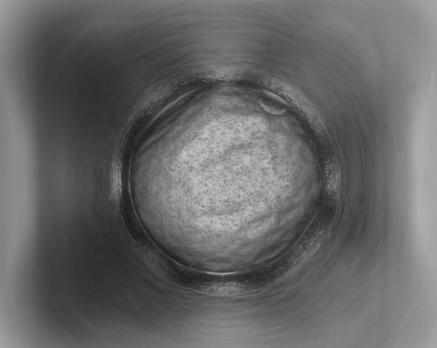 X0000101460685200807211334