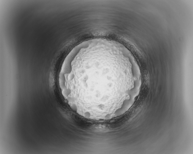 X0000101460687200807211334