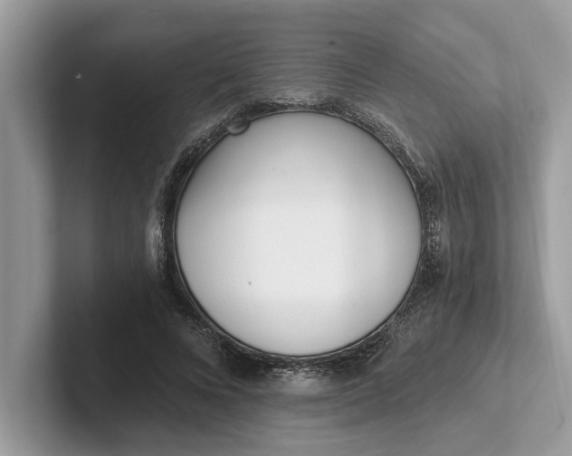 X0000101460688200807211334