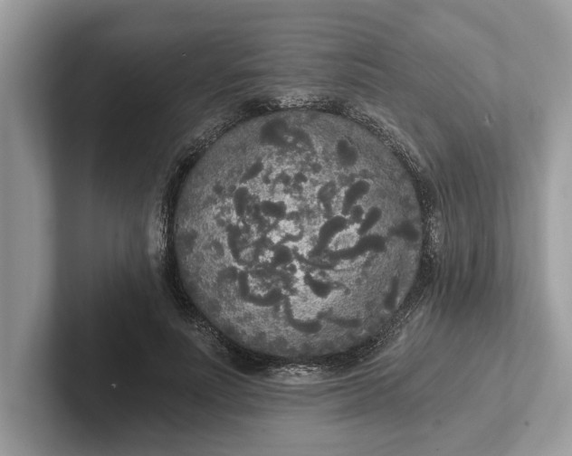 X0000101460691200807211334