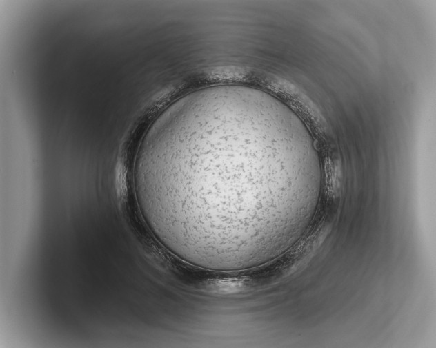 X0000101460692200807211334