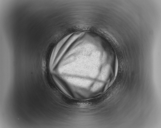 X0000101460693200807211333