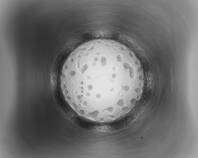 X0000101460695200807211333