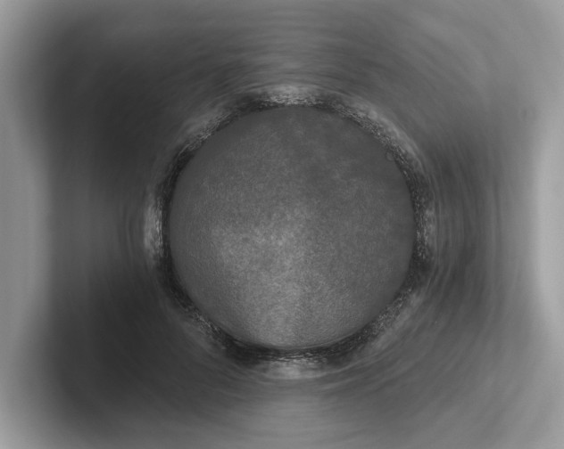 X0000101460696200807211333