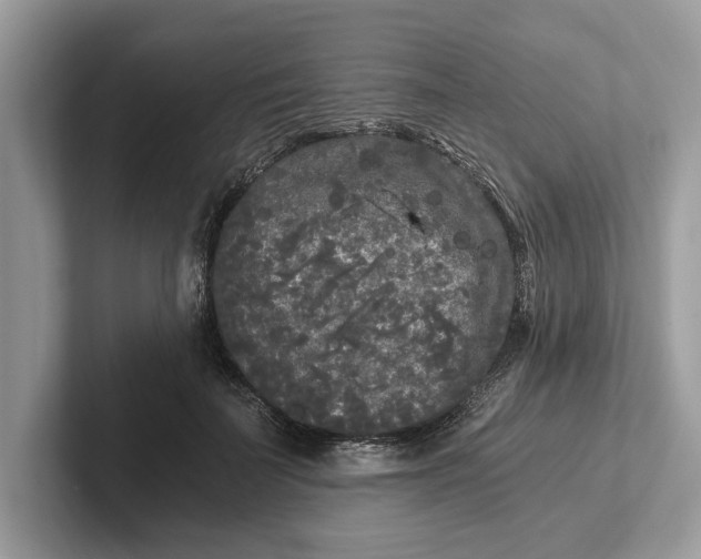 X0000101460699200807211333