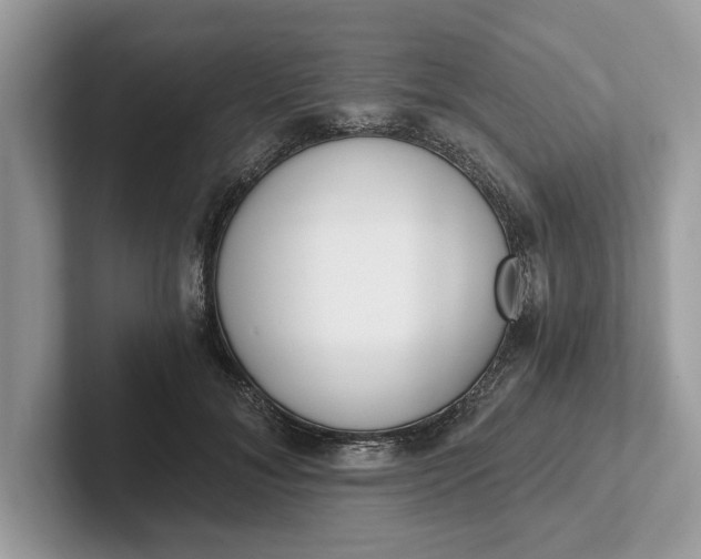 X0000101460700200807211333