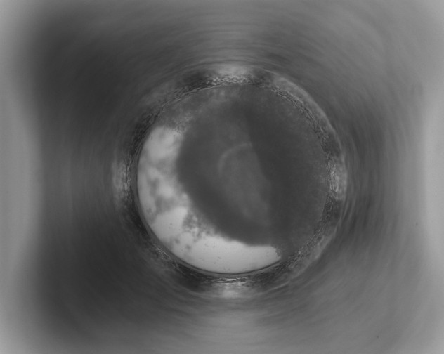 X0000101460701200807211333