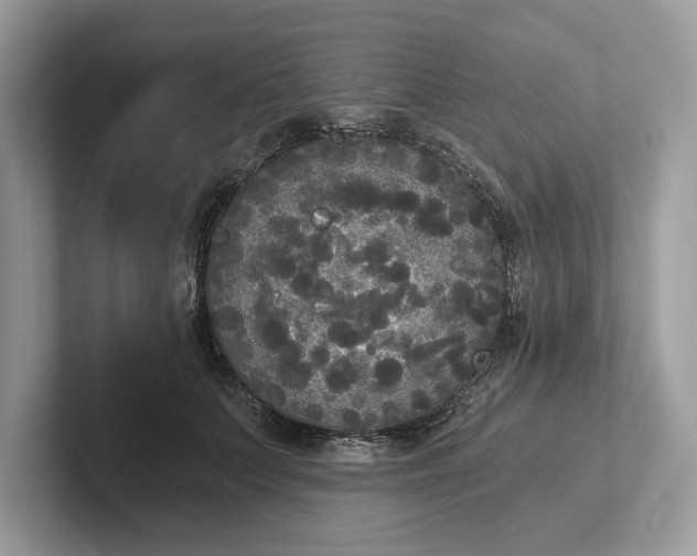 X0000101460703200807211333