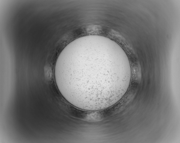 X0000101460705200807211333