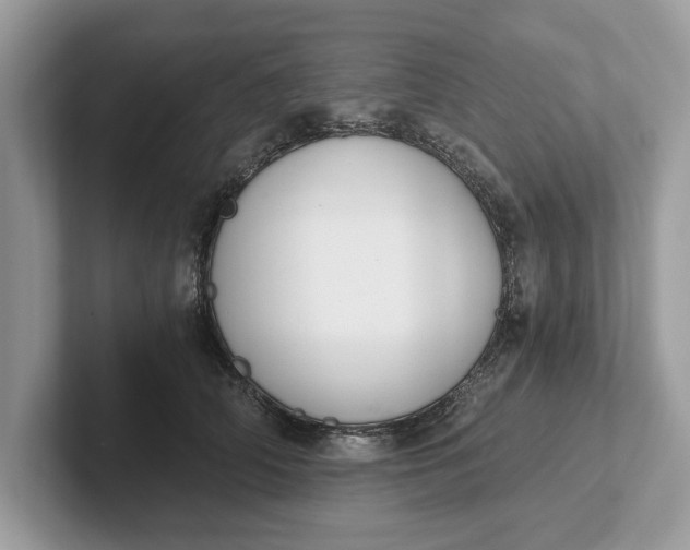 X0000101460706200807211333