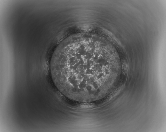 X0000101460707200807211333