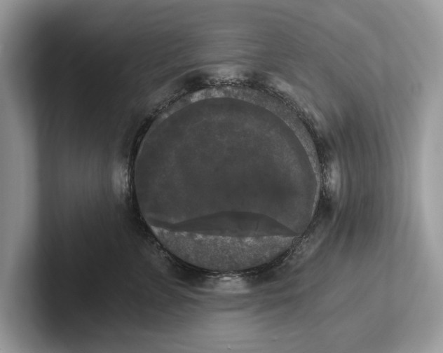 X0000101460715200807211333