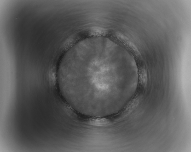 X0000101460716200807211333