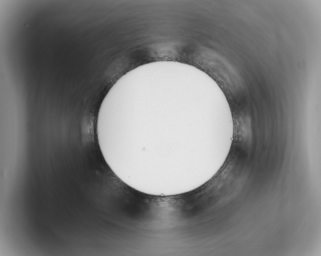 X0000101460717200807211333