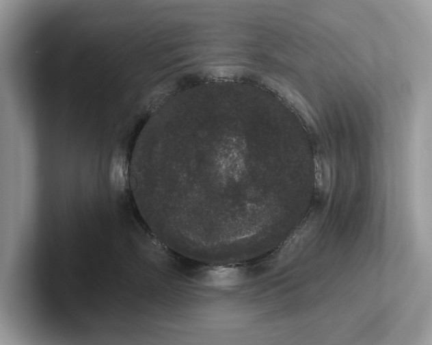 X0000101460718200807211333