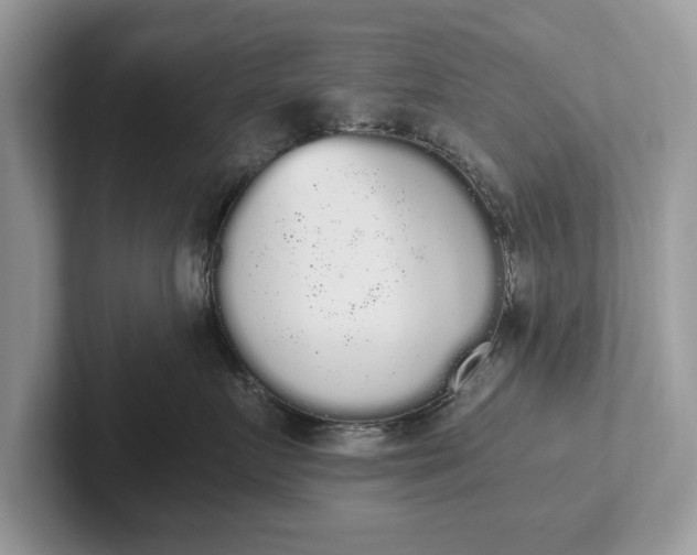 X0000101460719200807211333