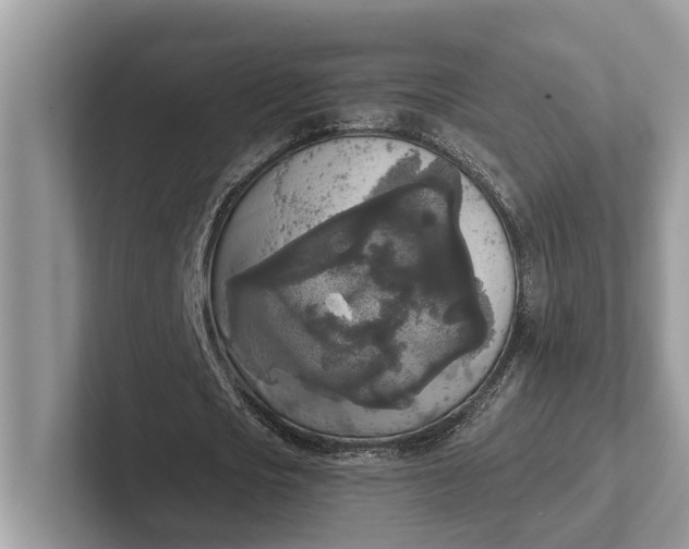 X0000101460721200807211333