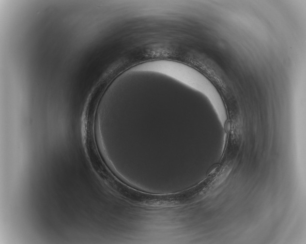 X0000101460722200807211333