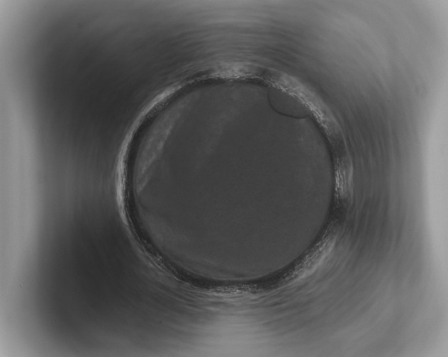 X0000101460724200807211333