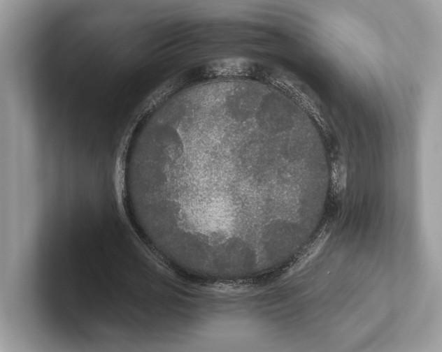 X0000101460725200807211333