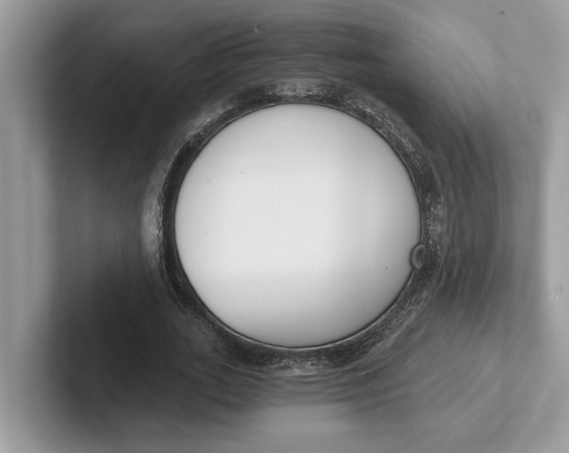 X0000101460727200807211333