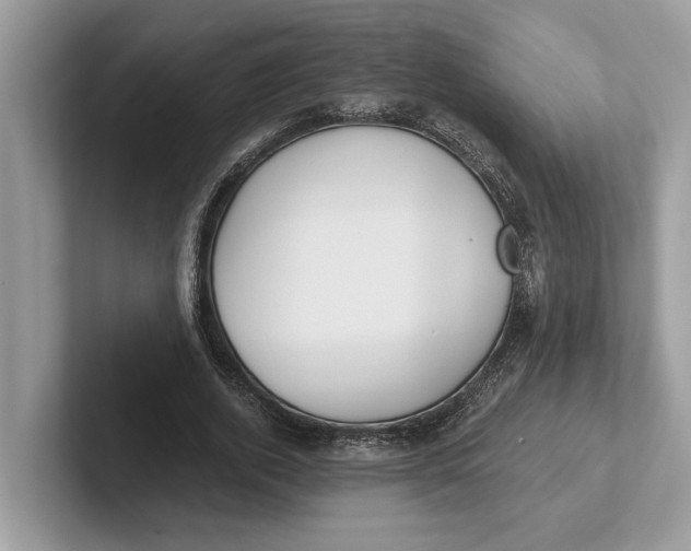 X0000101460728200807211333