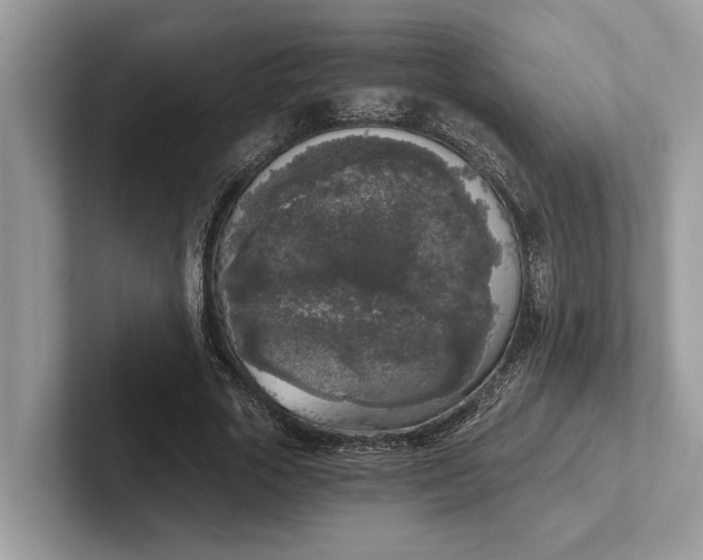 X0000101460729200807211333