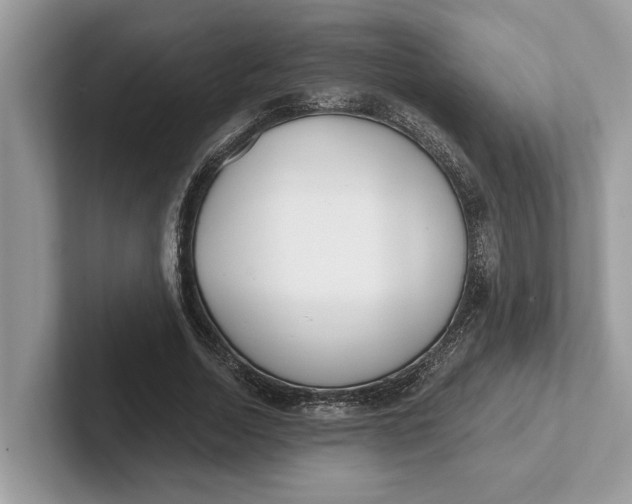 X0000101460730200807211333