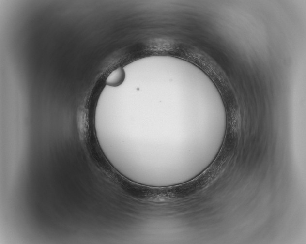 X0000101460731200807211333