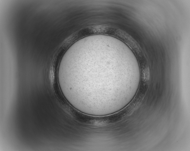 X0000101460733200807211333