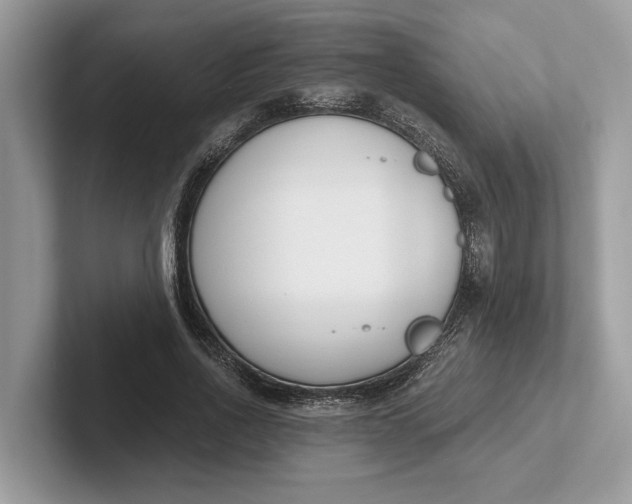 X0000101460734200807211333