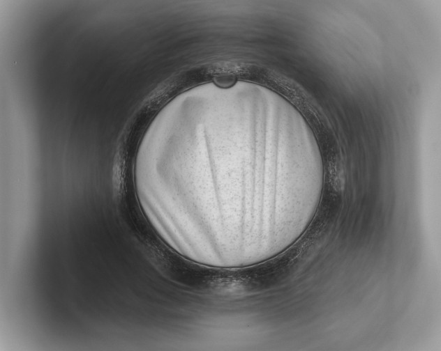 X0000101460735200807211333